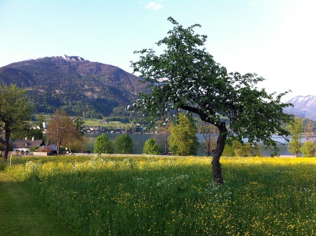 Haus Schoenblick Apartamento Strobl Exterior foto